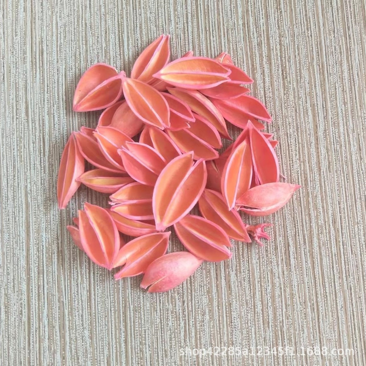 小梧桐壳原材料天然干花木莲花泡桐果diy手工拈花材料