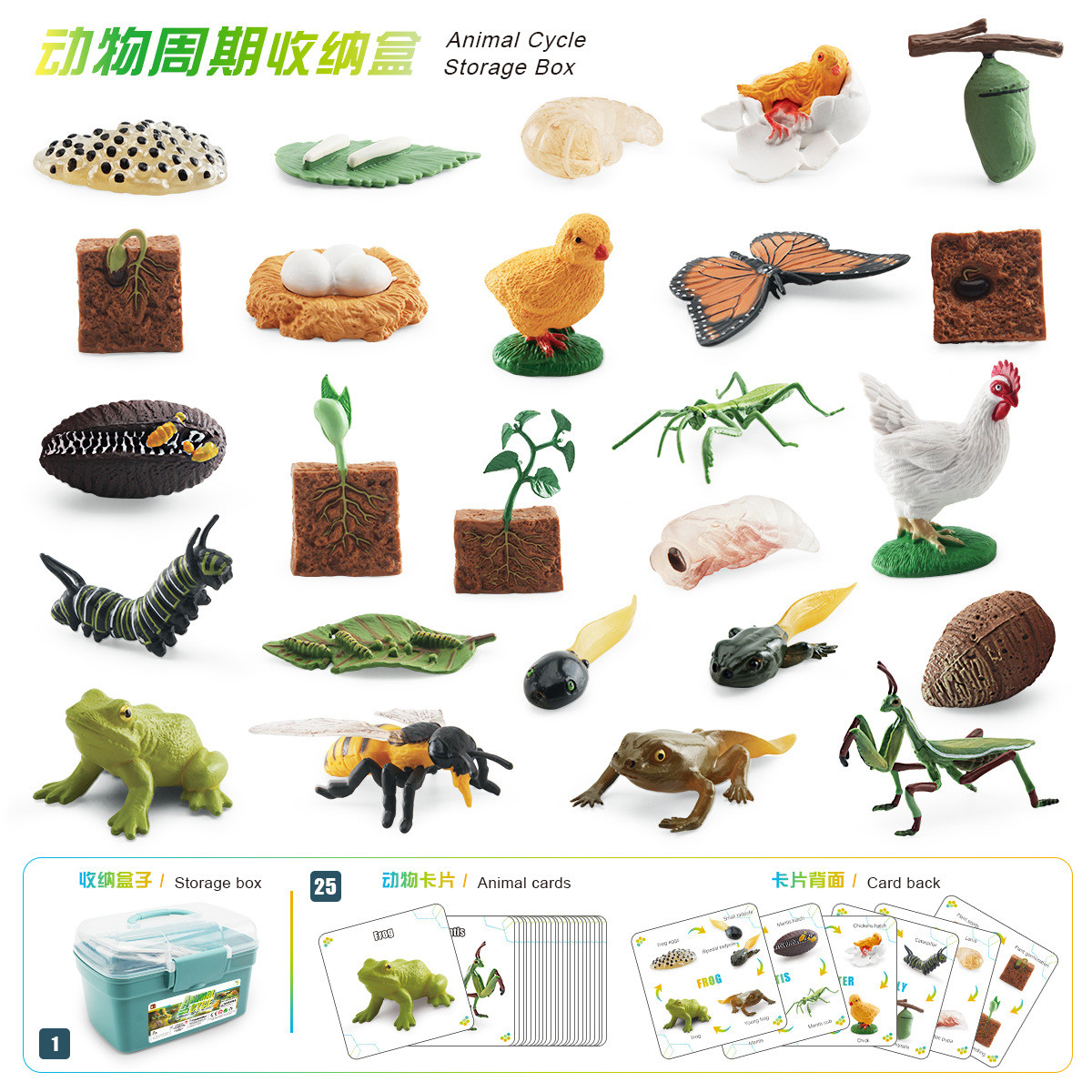 热销跨境仿真植物蜜蜂蝴蝶公鸡青蛙螳螂模型收纳盒周期成长动植物