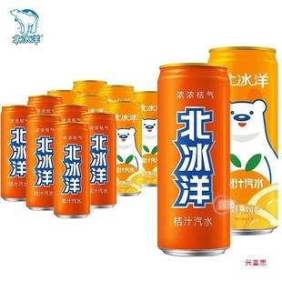 新货北冰洋桔汁橙子味汽水330ml罐果味汽水碳酸饮料