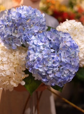 绣球 新款 蓝色白色 多层花瓣 客厅花 绢布材质 仿真花