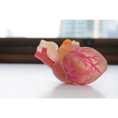 热销清远3d打印服务casaim3d打印服务公司-彩色