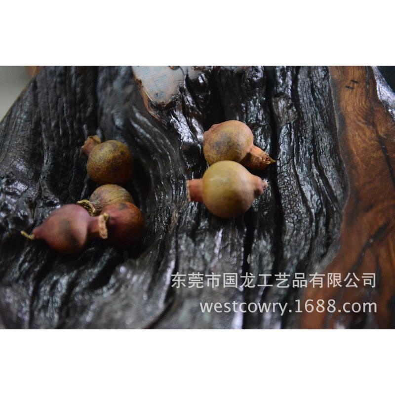 热销天然石榴果天然果子植物拍摄道具