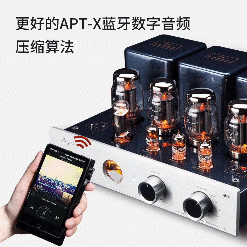 Cayin凯音MT-50PLUS斯巴克家用专业HIFI合并胆机发烧级电子功放