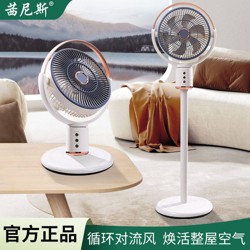 户外空气循环扇家用电风扇充电低噪台地两用式摇头定时落地扇四档