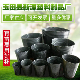 加厚营养钵批发育苗袋厂家供应育苗盆塑料一次性营养杯育苗杯