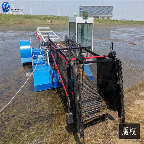热销水渠漂浮萍收集清小叶船水中狐尾藻打捞船全自动水面保洁船厂