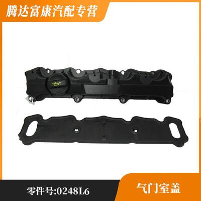 适用于 适用雪铁龙新爱丽舍 世嘉 标致206 307 308气门室盖0248L6