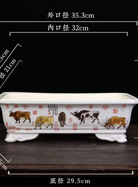 宜兴紫砂花盆高温流长方形桌面釉盆景阳台摆件文竹榕树蝴蝶兰批发