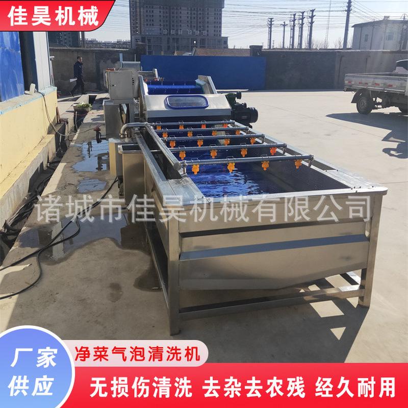 热销小龙虾清洗机叶泡鼓菜清洗机全自动净菜水果蔬菜气泡清洗机设