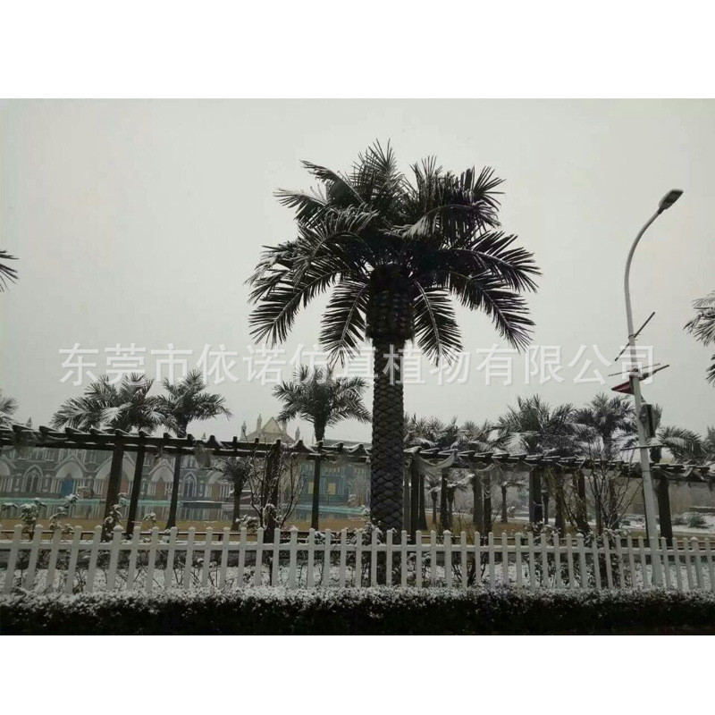 海澡树游乐场工程假树人造加纳利海藻树工厂中东银海枣树