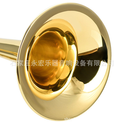 热销金音小号乐器降b调jytr-2000g漆金小号金音2000小号乐队型