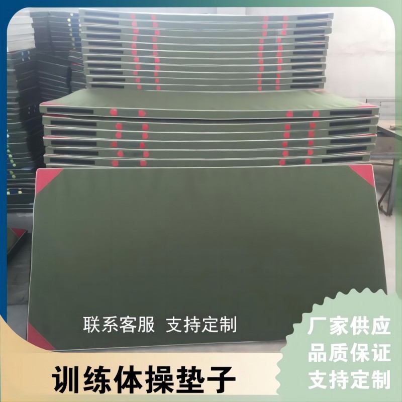 多功能直板折叠体操垫有机硅帆布垫仰卧起坐训练垫子训练健身垫