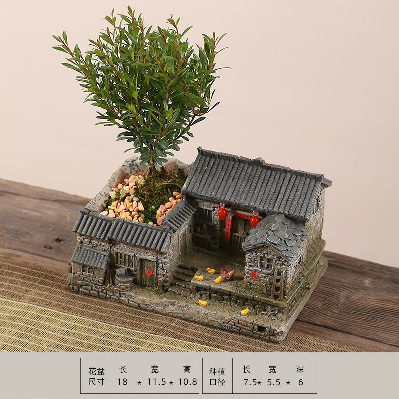 赤楠盆景植物客厅小盆栽桌面微景观造景绿植办公桌老房子模型摆件