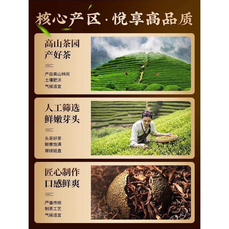 新货柑青普洱茶东方的树叶青柑桔橘普洱平替茶包熟陈皮普洱云南冷