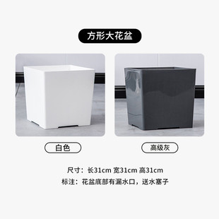 塑料花盆批发花盆加厚树脂特大号散尾葵厂家客厅办公室大型绿植