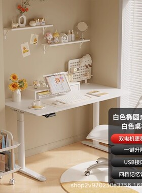 乐歌e2t/e3t电动升降桌智能居家办公桌坐站交替电脑桌书桌学习桌