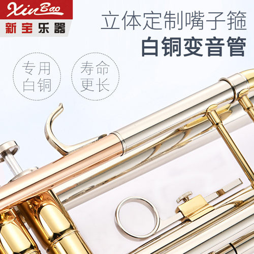 热销新宝小号b调专业降演奏铜管乐器按键小号tr600型白铜