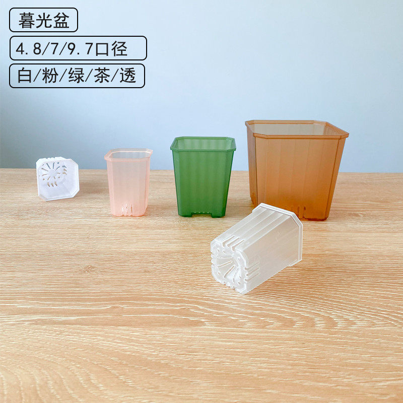 ll新品暮光盆 多肉彩色塑料花盆 透明半透阳台玉露景天生石花十二,鲜花速递/花卉仿真/绿植园艺,花盆,淘宝优惠券,粉丝福利购,淘宝优惠卷