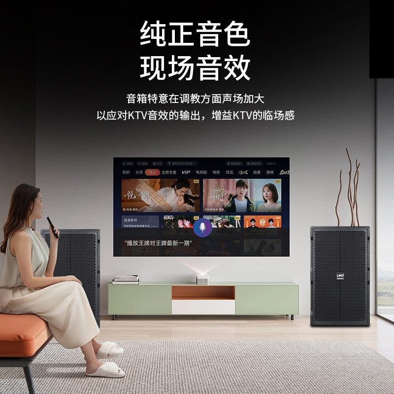 LMOD15专业大型演出舞台音响娱乐酒吧大功率音箱Stagespeakers