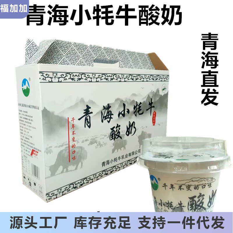 速发青海特产小牦牛青海老酸奶12碗 老酸奶整箱 风味发酵老乳酸奶