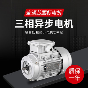 19轴1400转三相220V交流异步电动机 YE2 80M3 4铜芯1.1KW立卧式