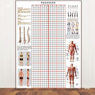 热销体态评估图式 体态评估检测儿童体测健身房墙纸表墙面