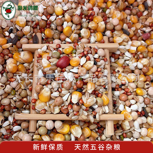 热销枭龙鸽粮营养10皖新升级赛鸽信鸽营养鸟食江浙沪公斤包邮