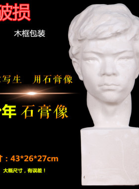 美术石膏人物头像尖嘴素描少年石膏像中国青年少年静物美术用品