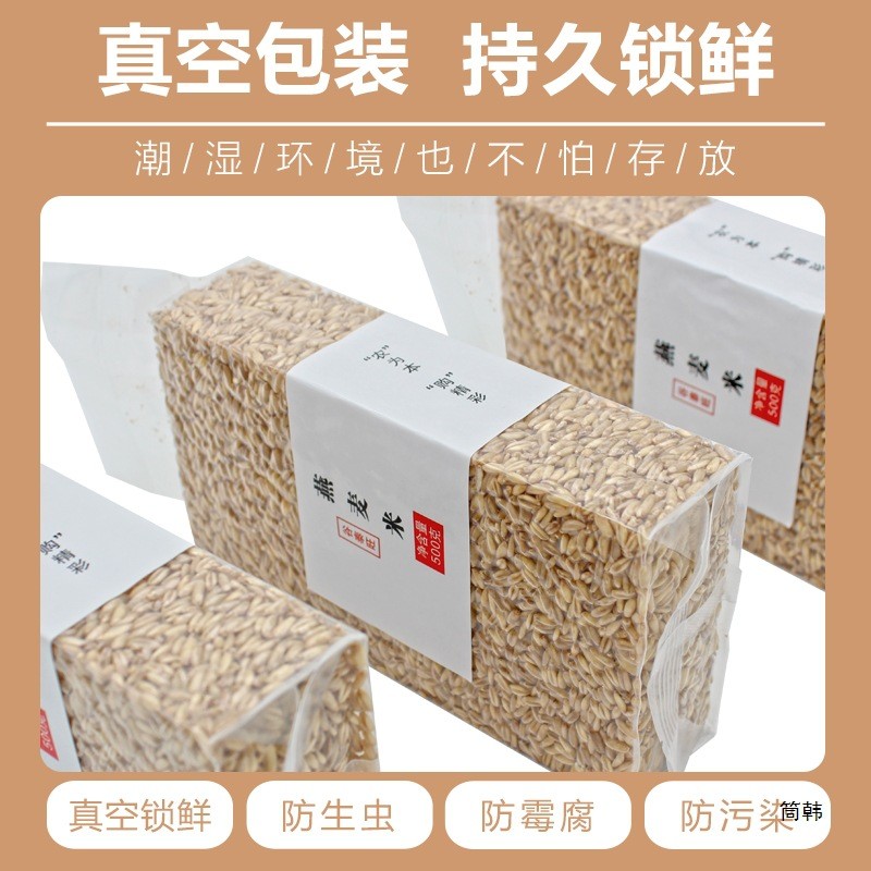 新日期内蒙古燕麦米全胚芽2024年新米生莜麦仁五谷杂粮粗粮食脂减