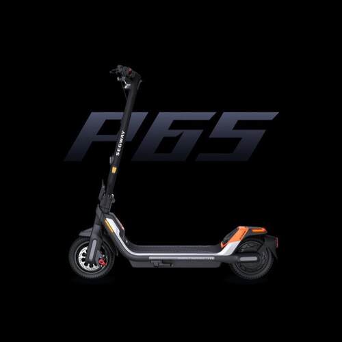 segwayp100sp65越野电动滑板车代步车折叠便携通勤遛狗前后减震