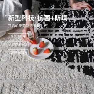S78DRSEMNIA客厅轻奢茶几毯家用卧室房间大面积全铺可擦免洗