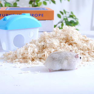 热销厂家批发仓鼠刨花垫料吸湿清洁刨花木屑除臭过筛宠物锯末刨花