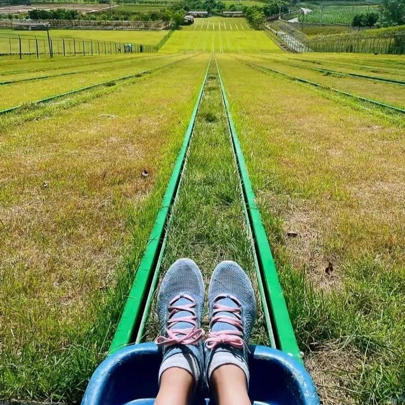 户外景区轨道极速草滑草上飞草坪无基础滑草场无动力游乐设备厂家