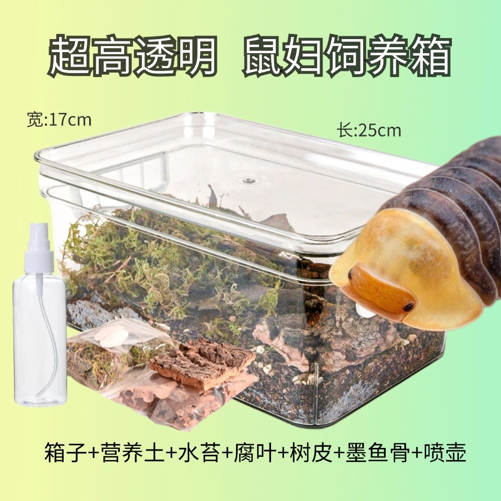 鼠妇饲养盒饲养箱鼠妇生态缸鼠妇饲养套餐鼠妇西瓜虫潮虫饲养盒