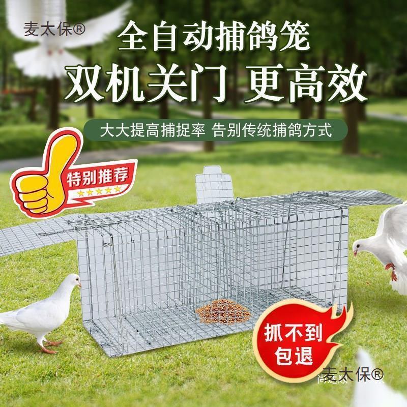 捕鸽神器全自动捕鸽子笼天落笼只进不出抓鸽子笼双逮鸽笼户麦太保