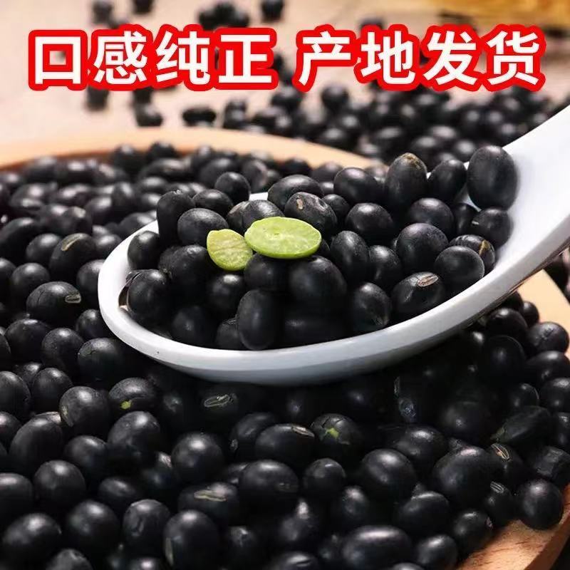 东北新黑豆绿心农家自产非转基因黑豆绿色食用粗粮五谷杂粮豆
