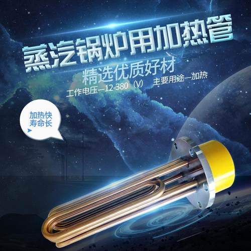 热销全铜加厚24kw电加热管18不锈钢加热管蒸汽发生器可用