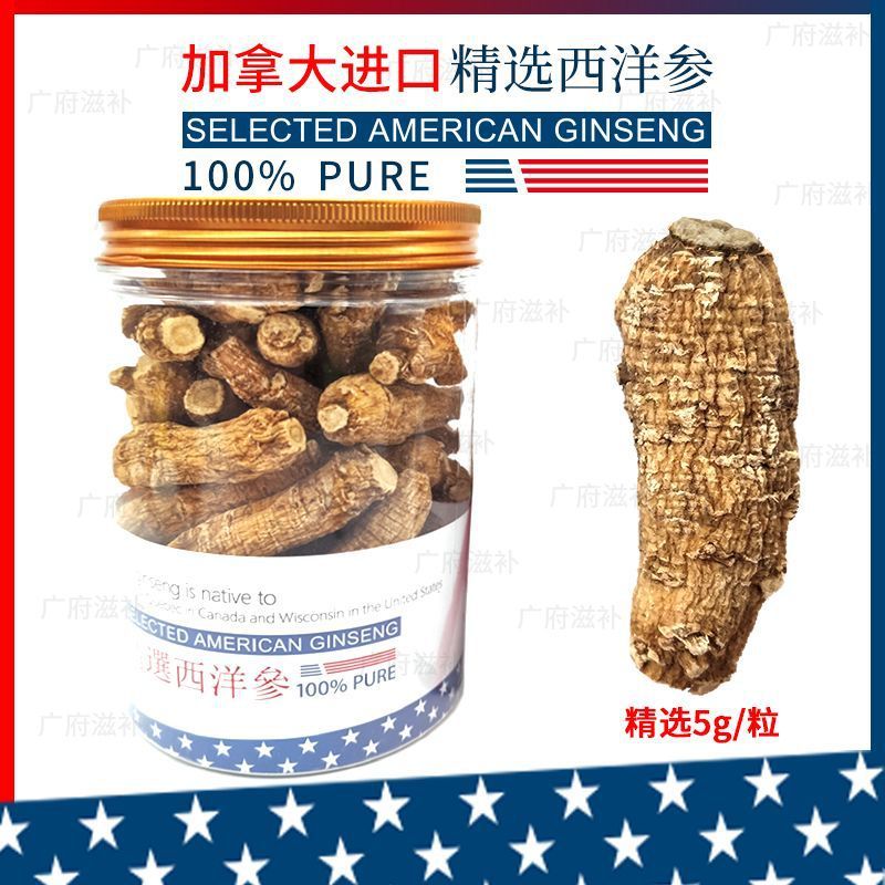新货粒进口西洋参六年加拿大头5克/粒美国花旗参段整枝洋参包