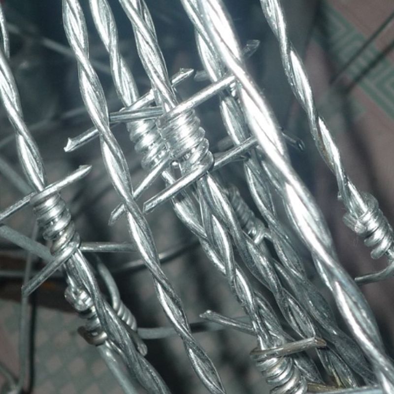 热镀锌带刺铁丝网围栏铁蒺藜爬刺防盗刺防护钢丝网刺绳刺铁丝防