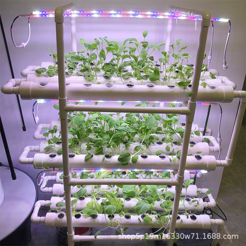 无土栽培水培3层12管108孔带灯LED植物生长补光灯种植机