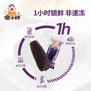 傻小胖小花青紫玉米真空新鲜糯黑玉米非转基因粘玉米早餐代餐粗粮