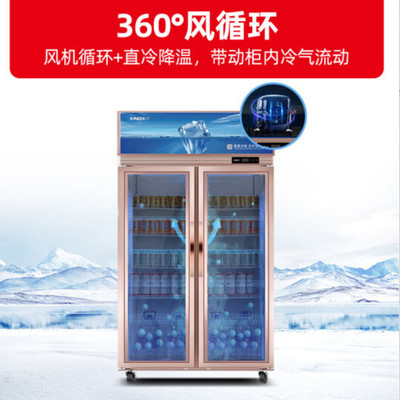 星星展示柜冷藏双门饮料冰柜商用便利店超市大容量立式啤酒保鲜柜