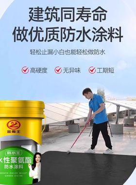 金雨王钢外墙楼顶裂缝防漏胶水性聚氨酯涂料彩屋顶防水补漏材料
