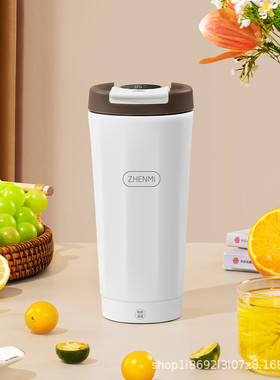 臻米ZHENMI 电热杯 C2pro USB标准款