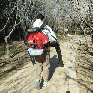 热销山林防火多功能叶园林绿化吹吹风机机手提路面吹风机