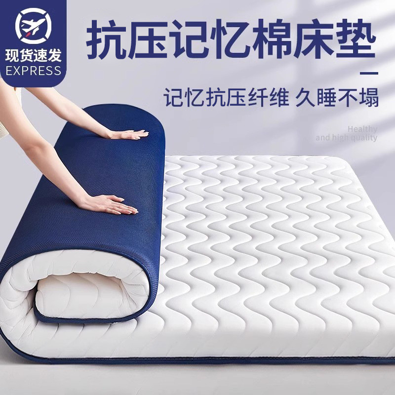 母婴级家用床垫软垫租房专用卧室垫子不易塌陷单人地铺垫冬夏两用