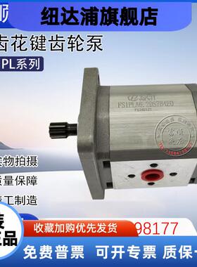 九齿花键液压泵叉车齿轮泵FS1PLA6.2DS7B4E0专用油泵1AC7Q06R/PFS