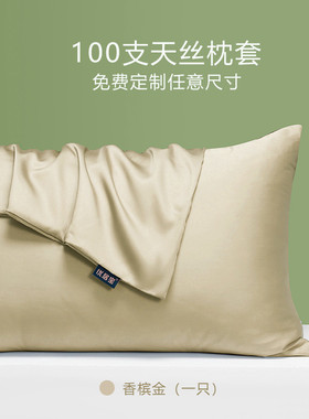 444z批发100支天丝枕套夏季单人枕头套冰丝丝滑凉爽信封枕芯套48*