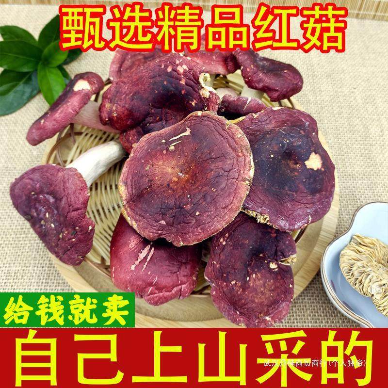 新货红菇干货特产红蘑菇菌菇包红菇红椎菌非福建云南广西直供