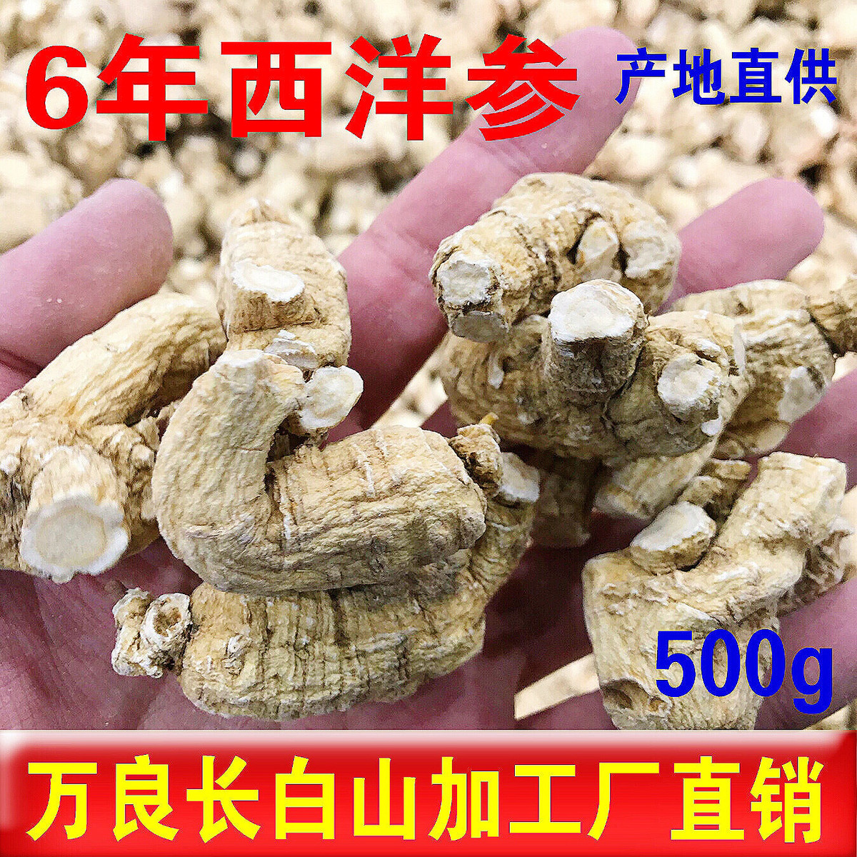新日期甄选 西洋参整枝花旗500g长白山人参西洋参片泡水西洋参切